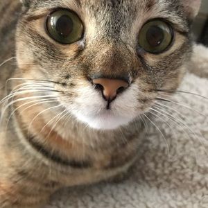 Meet your Posher, Jamie